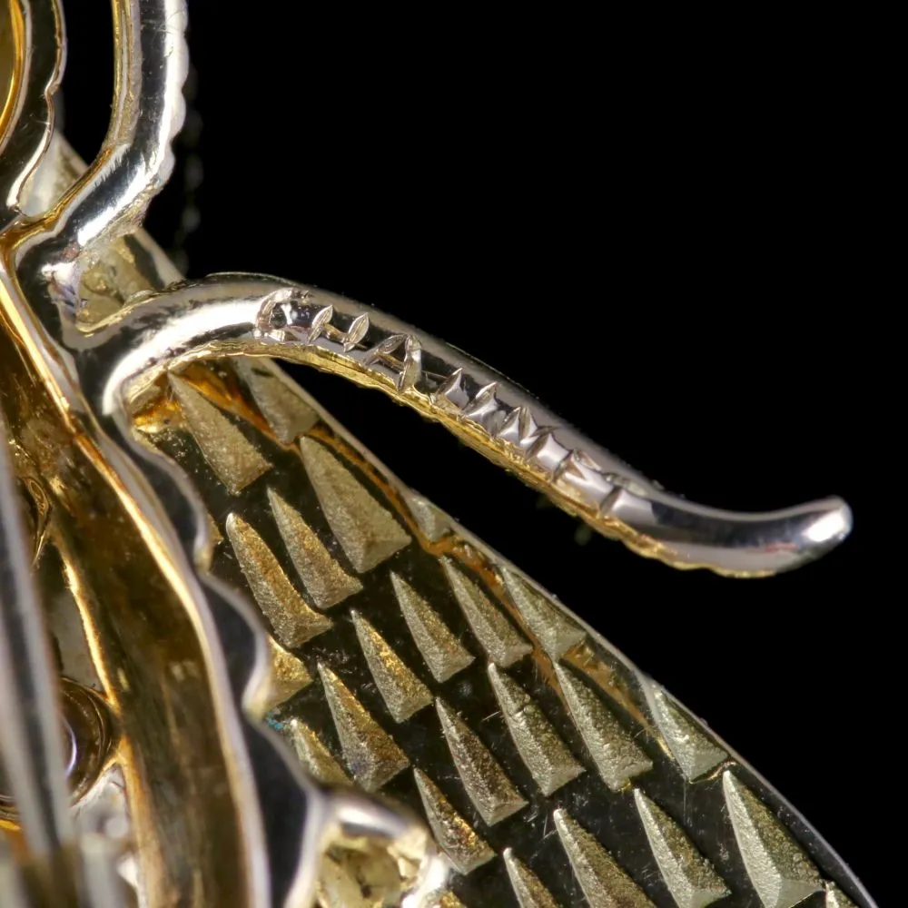 Antique Victorian Insect Brooch 18Ct Gold Diamond Circa 1900