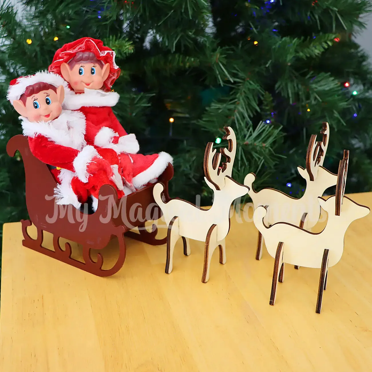 Costume - Santa Claus