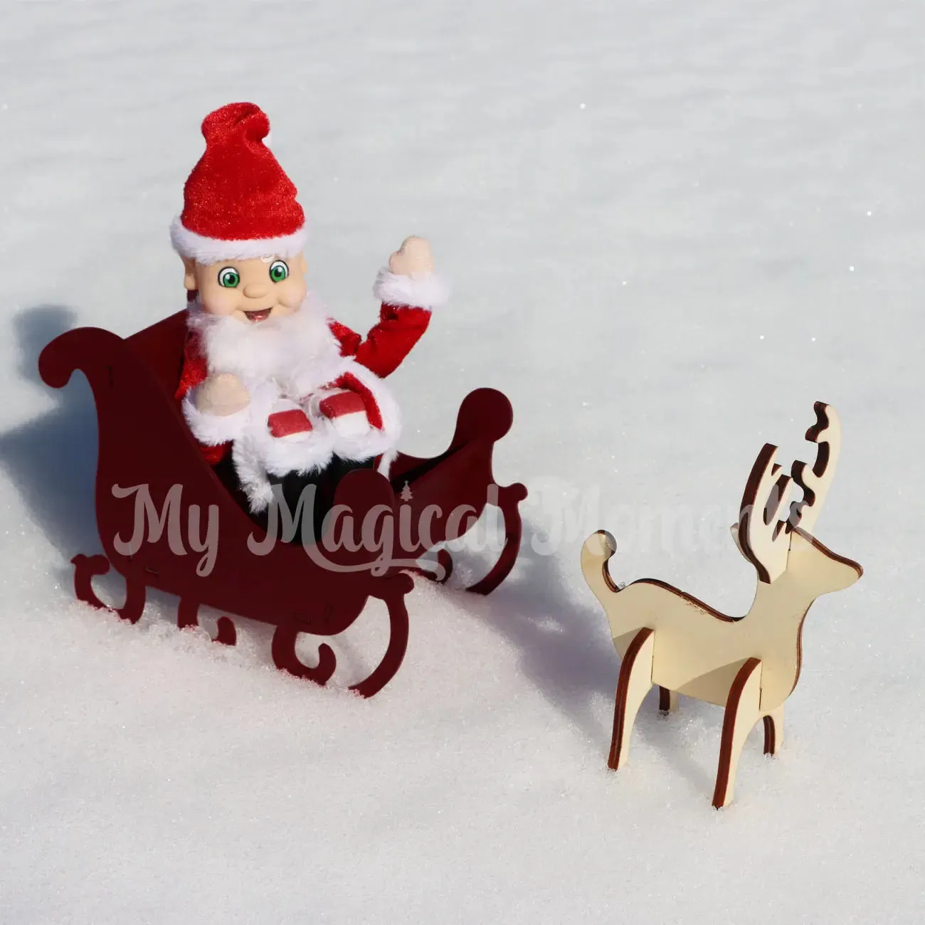 Costume - Santa Claus
