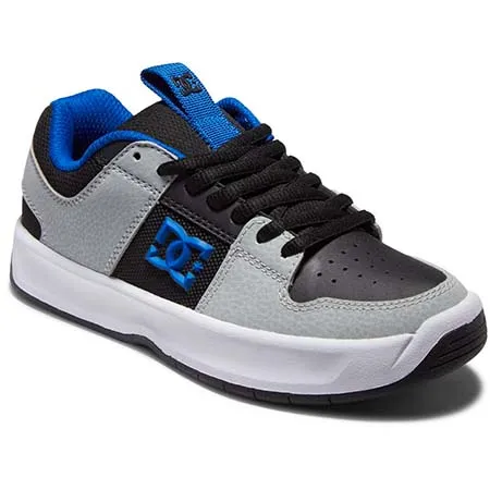 DC Shoe Co. Lynx Zero Kids Shoes