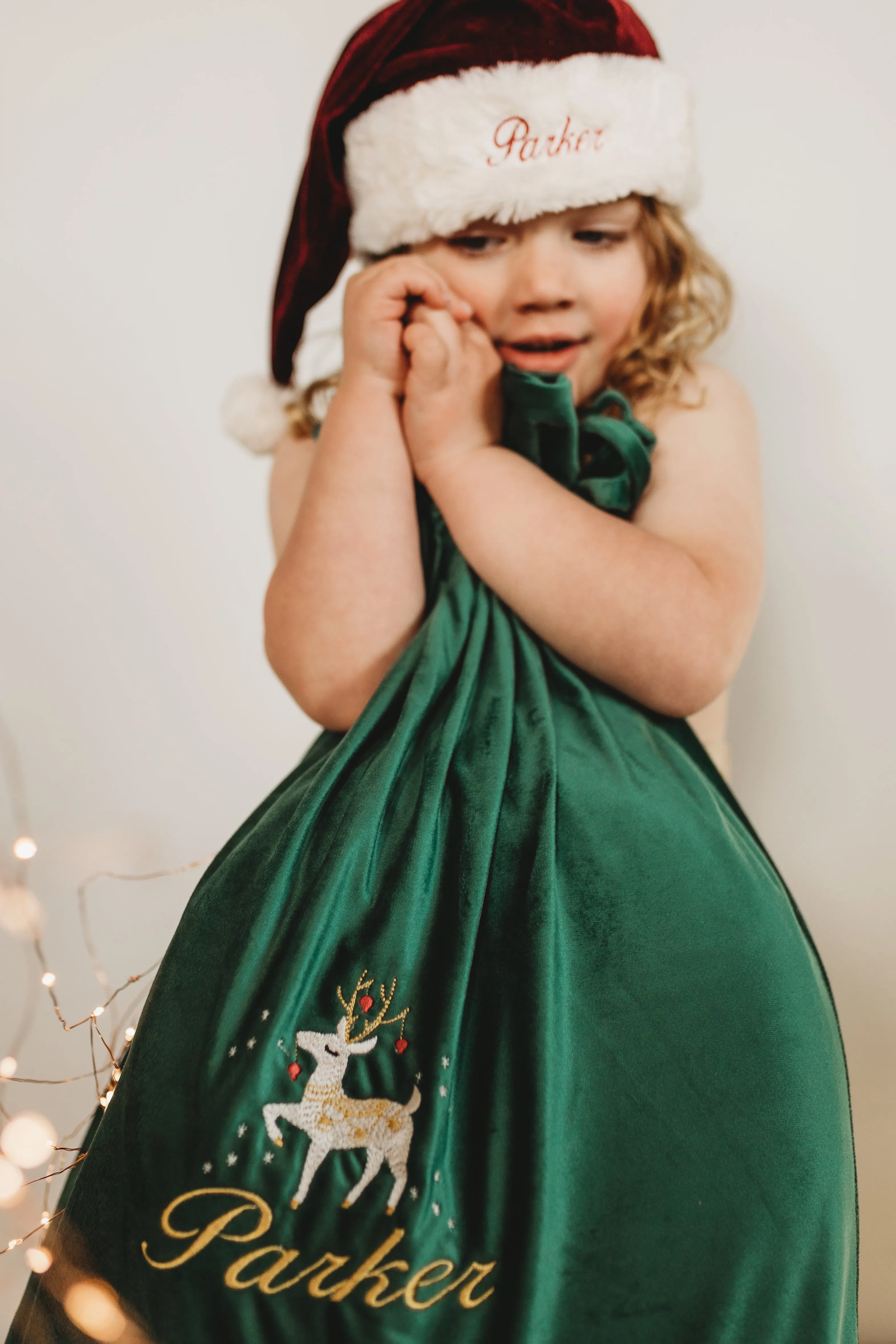 Deluxe Embroidered Santa Sacks