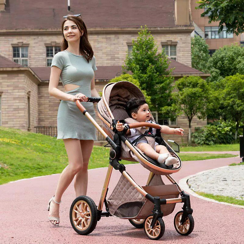 Premium 2-in-1 Baby Stroller