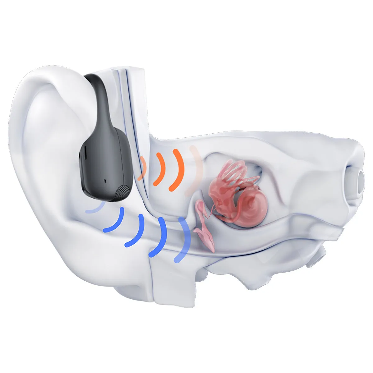 Shokz OpenRun Pro 2 Wireless Bluetooth Headphones