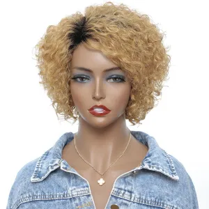 Small Curly Real Hair Wig, Gradual Fluffy Head High-end