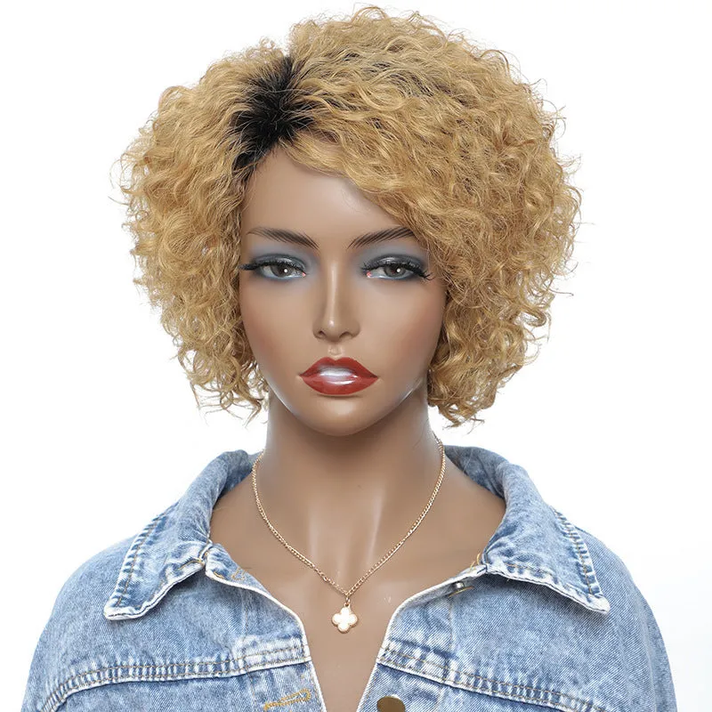 Small Curly Real Hair Wig, Gradual Fluffy Head High-end