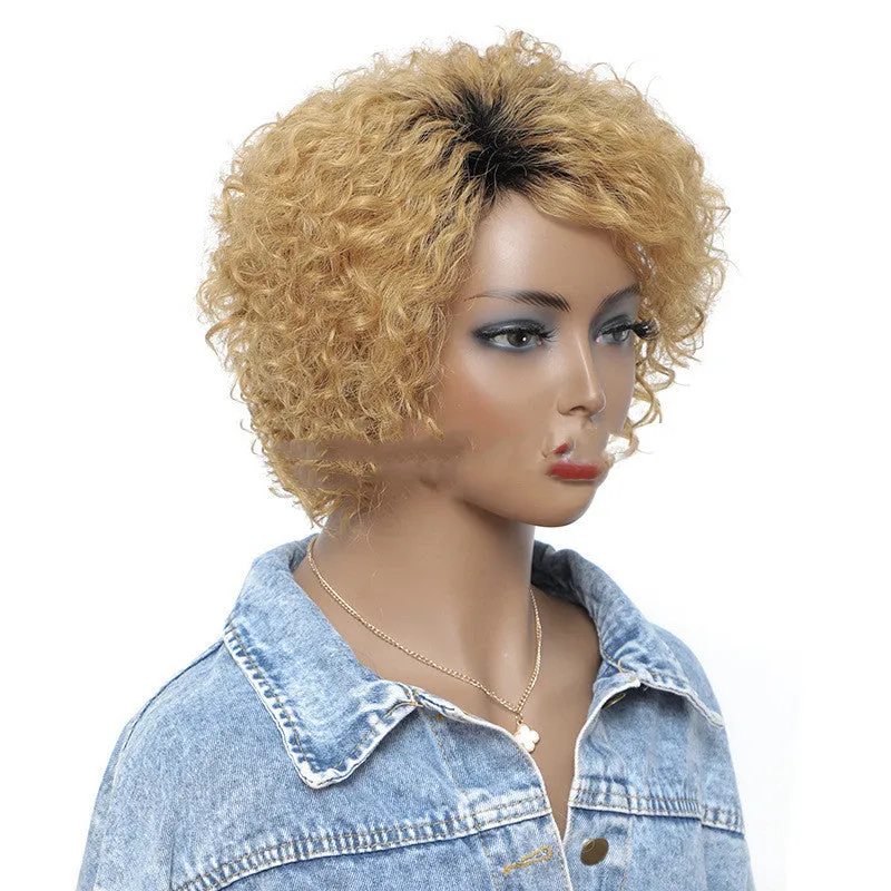 Small Curly Real Hair Wig, Gradual Fluffy Head High-end